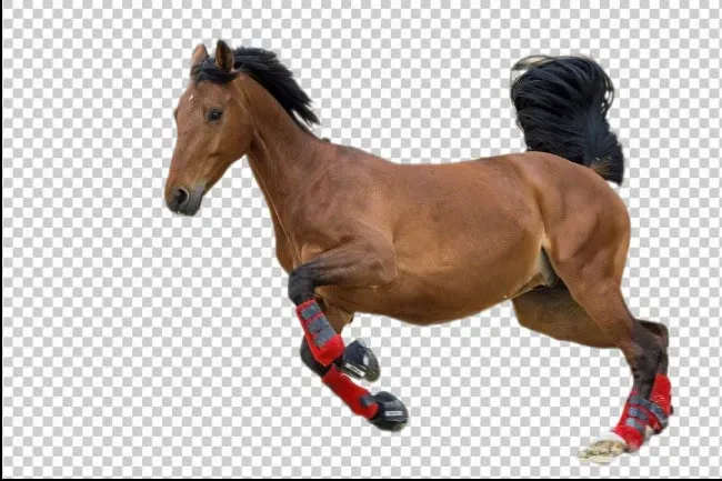 Stunning Quality